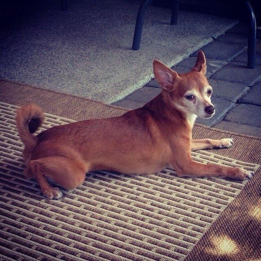 Meet your Posher, Kylie